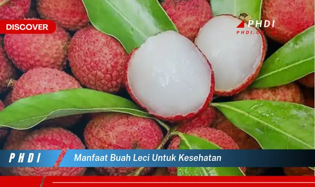 manfaat buah leci untuk kesehatan