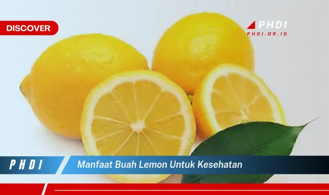 manfaat buah lemon untuk kesehatan