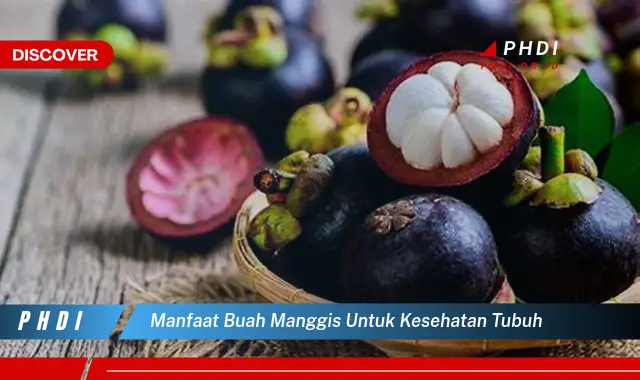 manfaat buah manggis untuk kesehatan tubuh