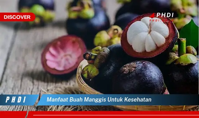 manfaat buah manggis untuk kesehatan