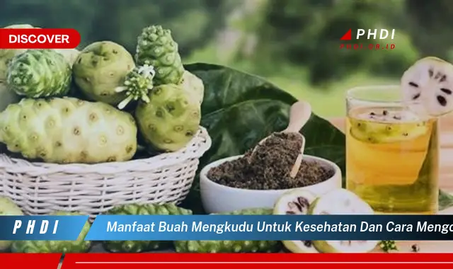 manfaat buah mengkudu untuk kesehatan dan cara mengolahnya