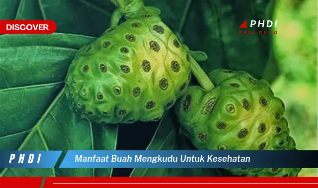 manfaat buah mengkudu untuk kesehatan