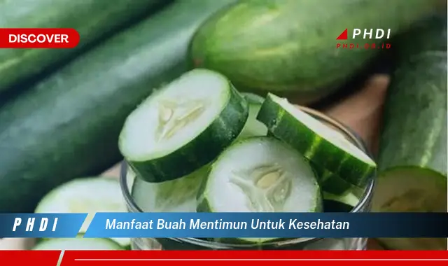 manfaat buah mentimun untuk kesehatan