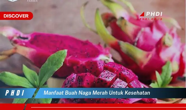 manfaat buah naga merah untuk kesehatan