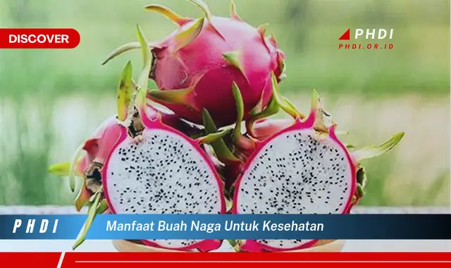 manfaat buah naga untuk kesehatan