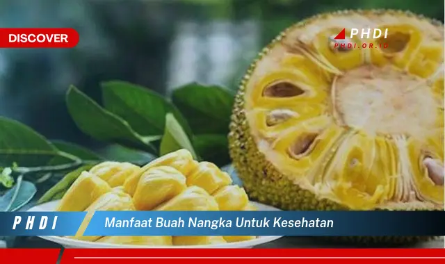 manfaat buah nangka untuk kesehatan