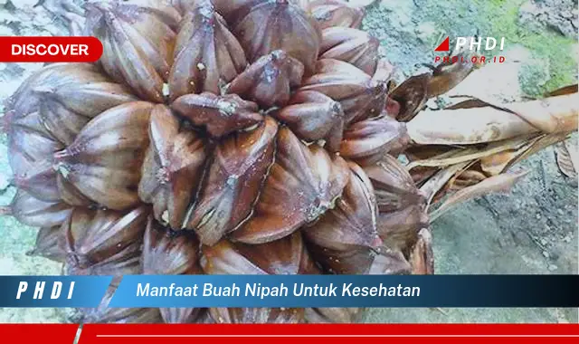 manfaat buah nipah untuk kesehatan