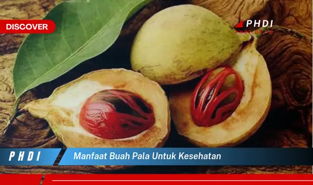 Temukan 7 Manfaat Buah Pala Untuk Kesehatan Yang Wajib Kamu Intip