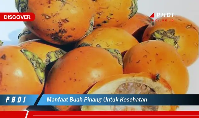 manfaat buah pinang untuk kesehatan