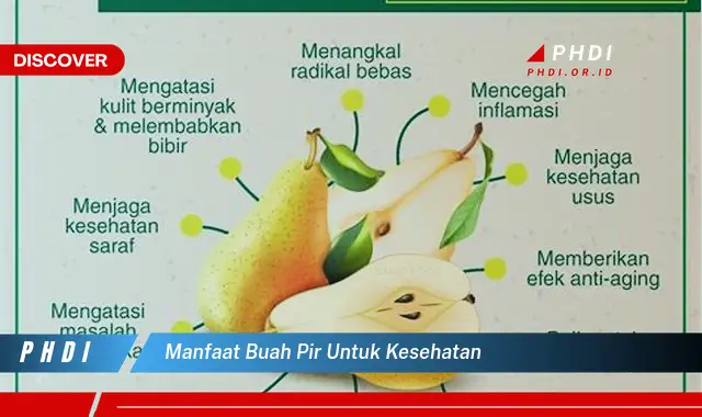 manfaat buah pir untuk kesehatan