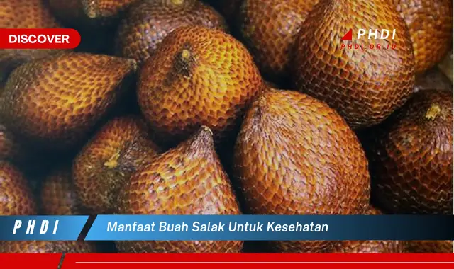 manfaat buah salak untuk kesehatan