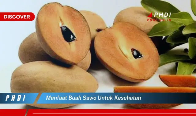 manfaat buah sawo untuk kesehatan