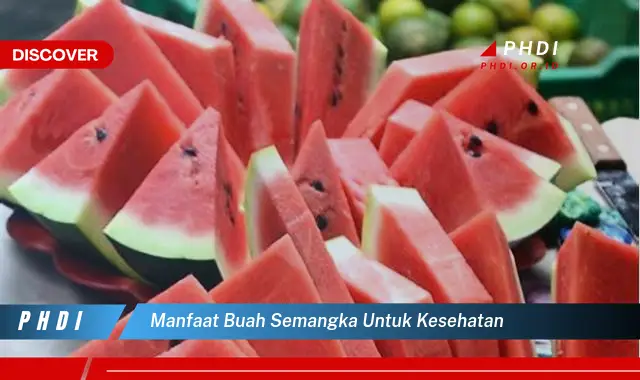 manfaat buah semangka untuk kesehatan