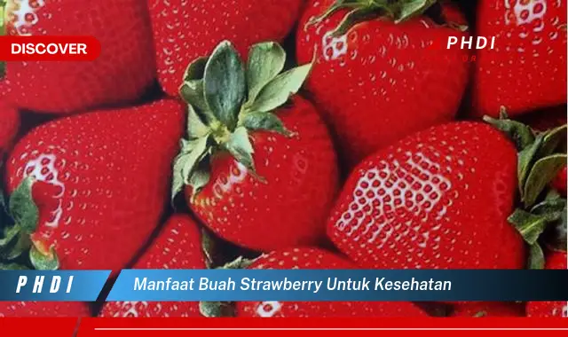 manfaat buah strawberry untuk kesehatan