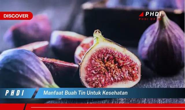 manfaat buah tin untuk kesehatan