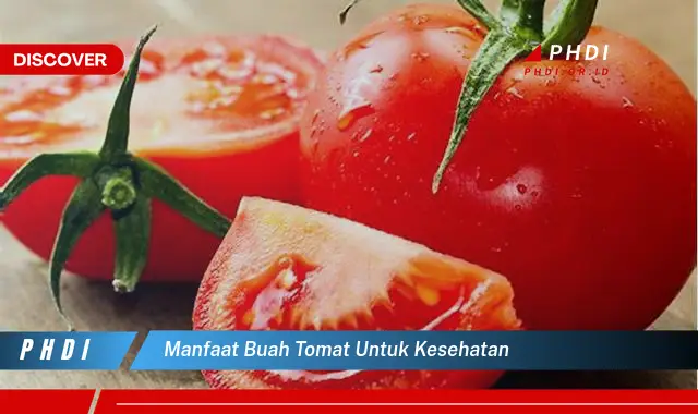 manfaat buah tomat untuk kesehatan