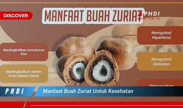 manfaat buah zuriat untuk kesehatan