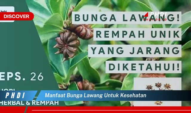 manfaat bunga lawang untuk kesehatan