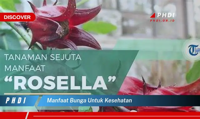 manfaat bunga untuk kesehatan