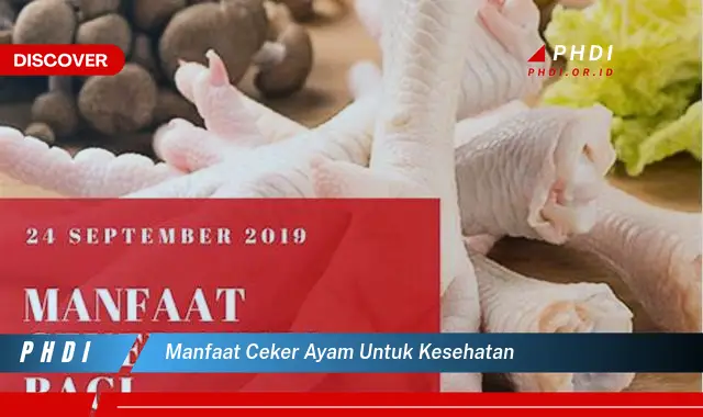 manfaat ceker ayam untuk kesehatan