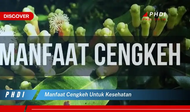 manfaat cengkeh untuk kesehatan