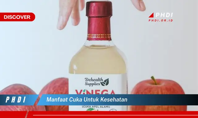 manfaat cuka untuk kesehatan