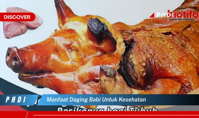 manfaat daging babi untuk kesehatan