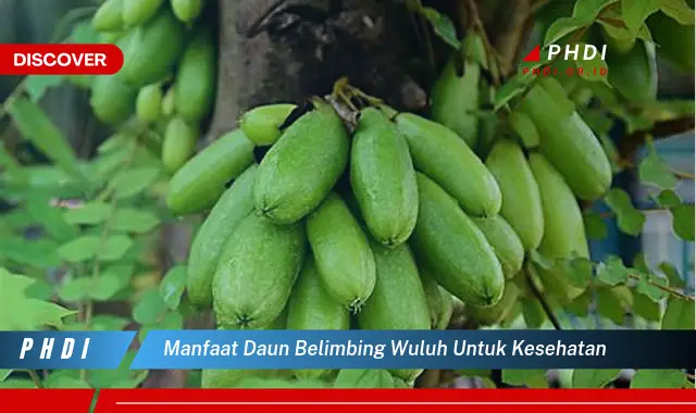 manfaat daun belimbing wuluh untuk kesehatan