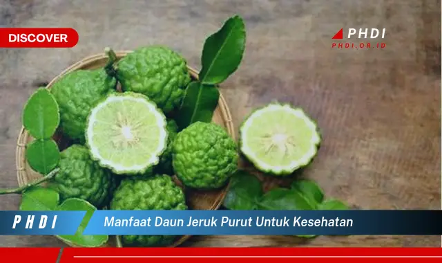 manfaat daun jeruk purut untuk kesehatan