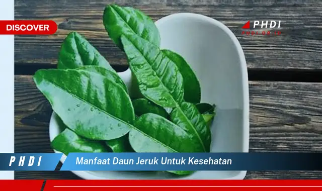 manfaat daun jeruk untuk kesehatan