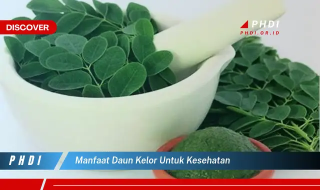 manfaat daun kelor untuk kesehatan