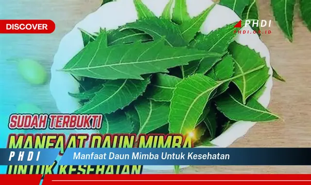 manfaat daun mimba untuk kesehatan