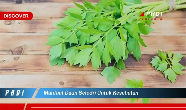 manfaat daun seledri untuk kesehatan