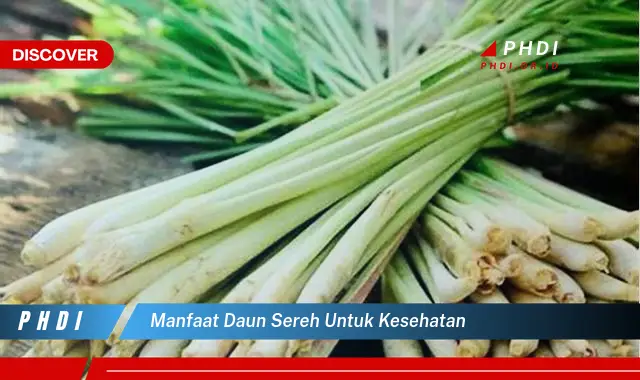 manfaat daun sereh untuk kesehatan