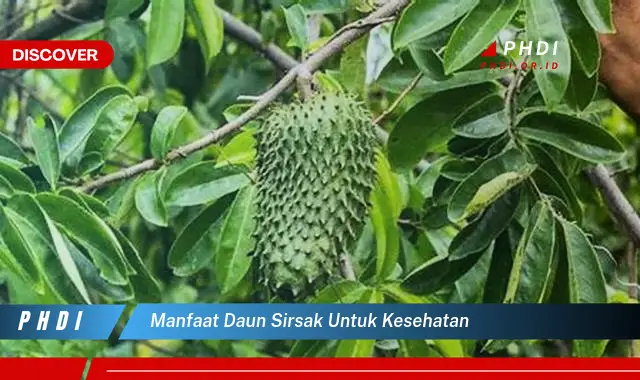 manfaat daun sirsak untuk kesehatan