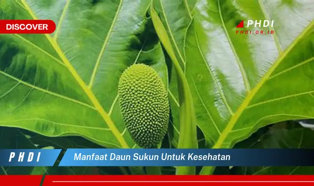 manfaat daun sukun untuk kesehatan