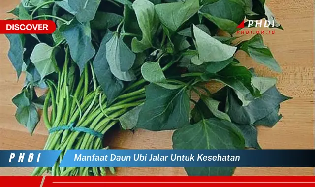 manfaat daun ubi jalar untuk kesehatan