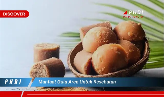 manfaat gula aren untuk kesehatan