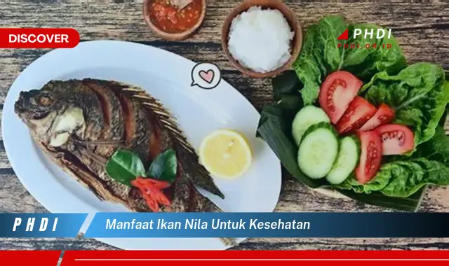 manfaat ikan nila untuk kesehatan