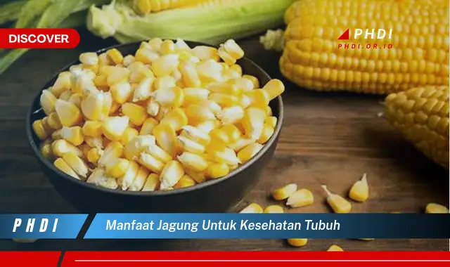 manfaat jagung untuk kesehatan tubuh