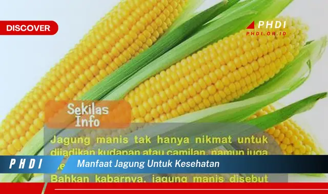 manfaat jagung untuk kesehatan