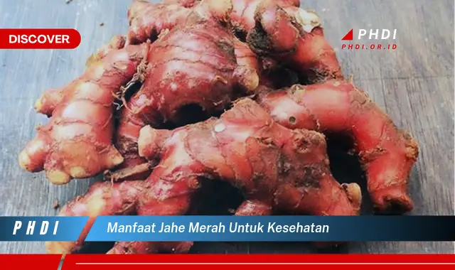 manfaat jahe merah untuk kesehatan