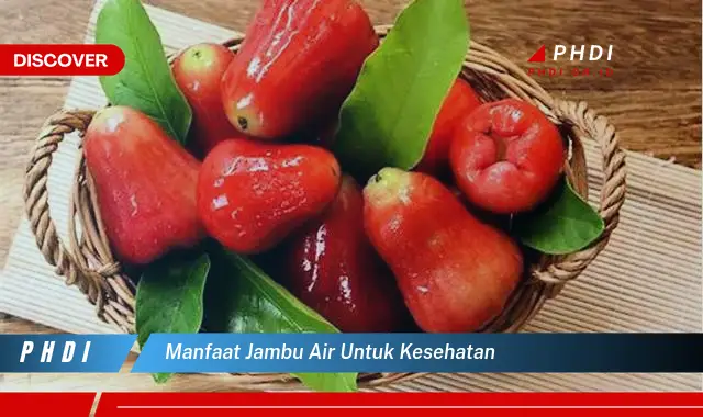 manfaat jambu air untuk kesehatan