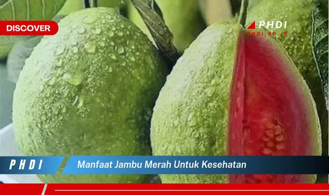 manfaat jambu merah untuk kesehatan