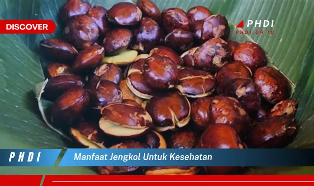 manfaat jengkol untuk kesehatan