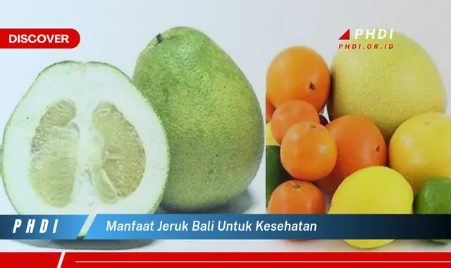 manfaat jeruk bali untuk kesehatan