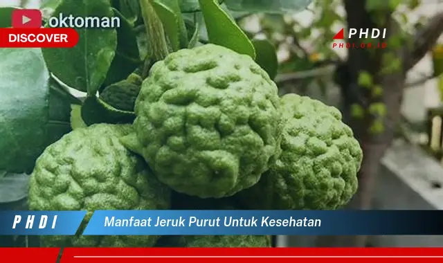 manfaat jeruk purut untuk kesehatan