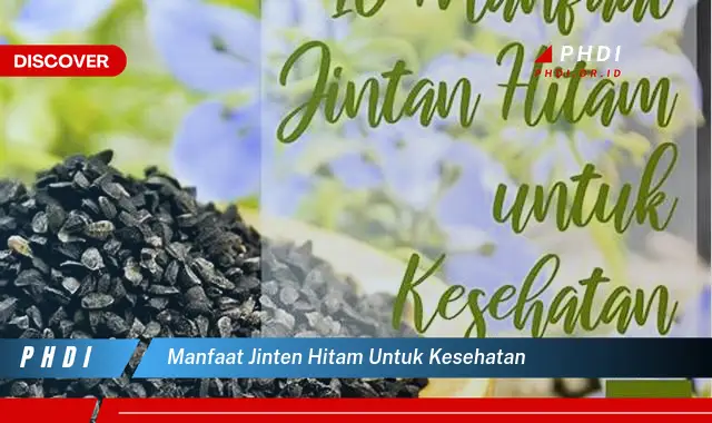 manfaat jinten hitam untuk kesehatan