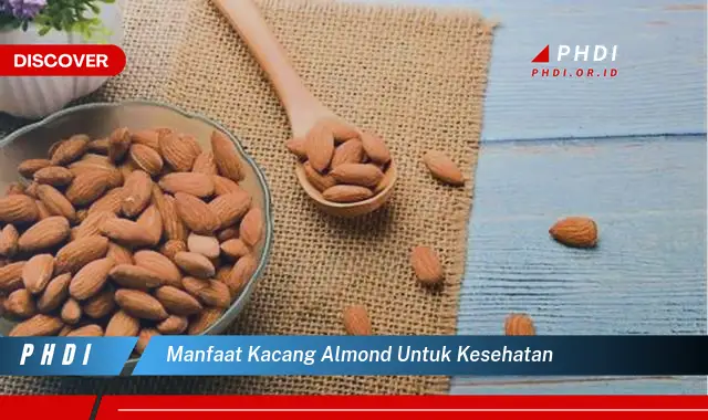 manfaat kacang almond untuk kesehatan