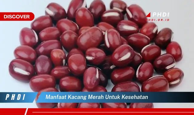 manfaat kacang merah untuk kesehatan